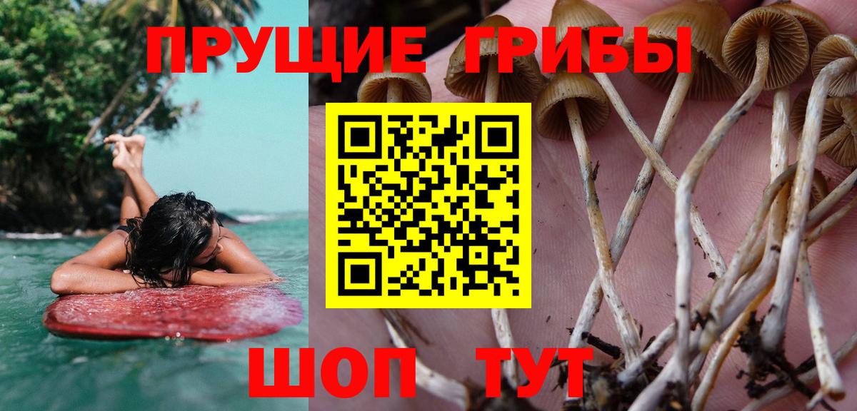 Псилоцибиновые грибы мухоморы Ивантеевка